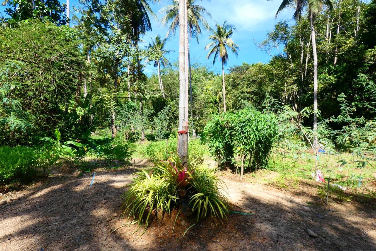 Chom Suan Homestay Ko Kut Exterior foto